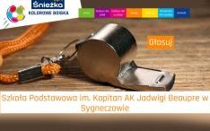 Nie zwlekaj, zagłosuj na Szkołę Podstawową w Syneczowie!
