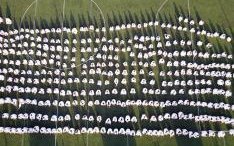 Międzynarodowy letni obóz Kyokushin w Bułgarii