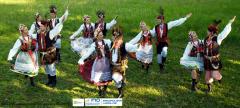 „Ku postępowi - profesjonalizm w działaniach na rzecz folkloru” - projekt ZPiT