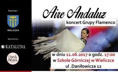 Koncert Grupy Flamenco - Arie Andaluz