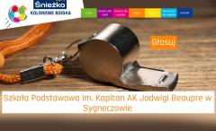 Nie zwlekaj, zagłosuj na Szkołę Podstawową w Syneczowie!