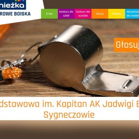 Nie zwlekaj, zagłosuj na Szkołę Podstawową w Syneczowie!