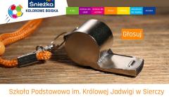 Walczymy o wielofunkcyjne boisko sportowe przy Szkole Podstawowej w Sierczy