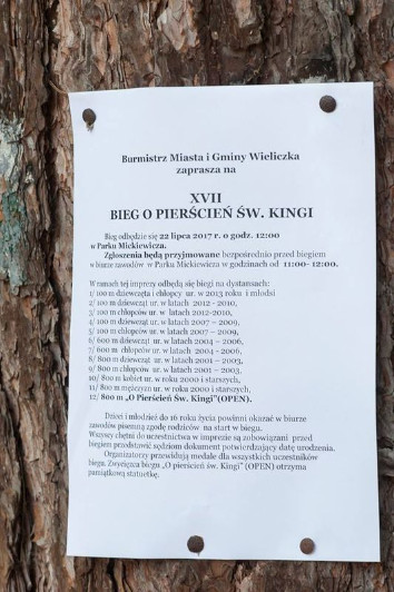 XVII-bieg-o-puchar-sw.-kingi-wieliczka-2017-039.jpg