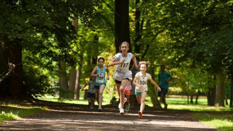 XVII-bieg-o-puchar-sw.-kingi-wieliczka-2017-058.jpg