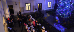 Zapalenie choinki z Ks. Kardynałem Stanisławem Dziwiszem