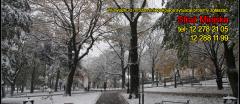Ogłoszenie Burmistrza Miasta i Gminy Wieliczka