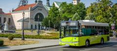 Rozkłady linii autobusowych