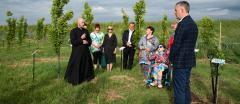 16 dębów dla Małych Bohaterów