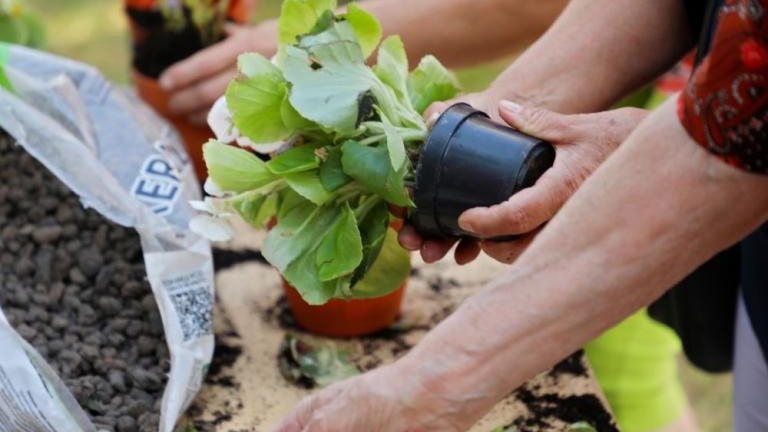 festyn rodzinny w Janowicach gm Wieliczka-018.jpg