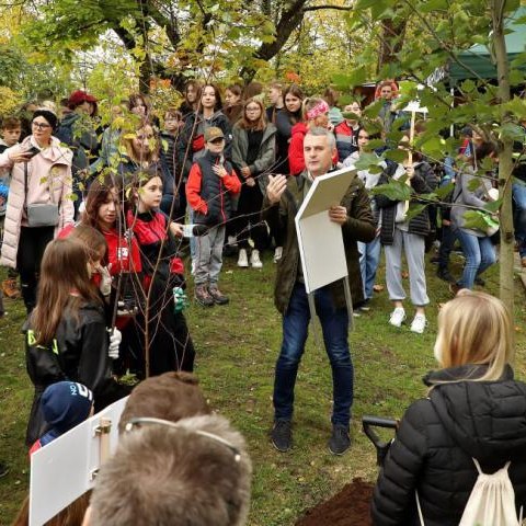 Program Czysta Polska w Wieliczce