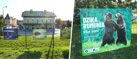 Wystawa „Dzika Rumunia” w Wieliczce