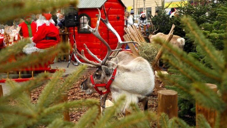 zagroda reniferow Mikolaja Rynek Górny gm Wieliczka-005.jpg