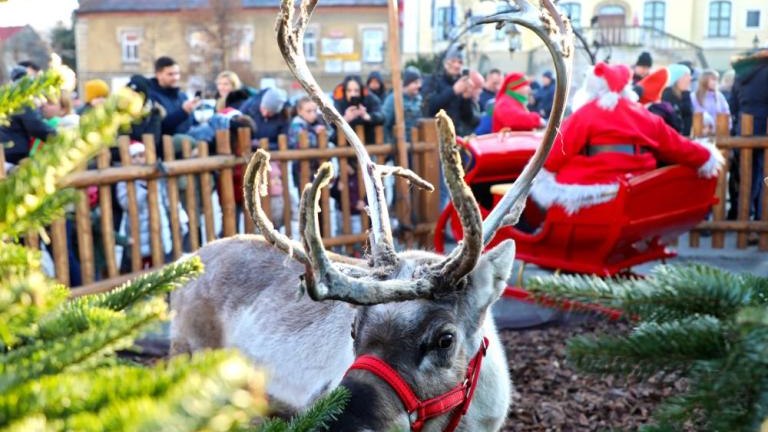 zagroda reniferow Mikolaja Rynek Górny gm Wieliczka-029.jpg