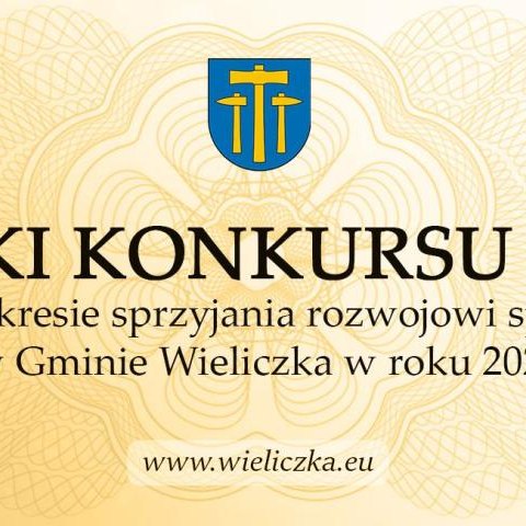 Wyniki konkursu ofert w zakresie sprzyjania rozwojowi sportu w Gminie Wieliczka w roku 2023