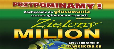 ZIELONY MILION na projekty ekologiczne