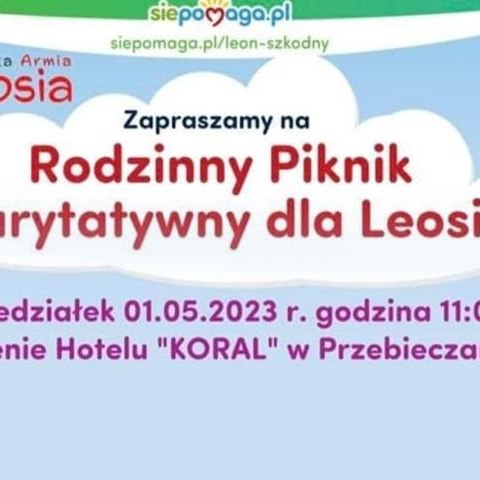 Rodzinny piknik charytatywny dla Leosia