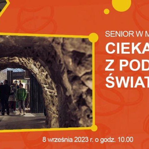Senior w Muzeum: Ciekawostki z podziemnego świata