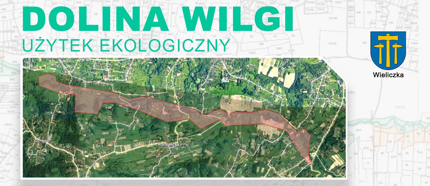 UŻYTEK EKOLOGICZNY „DOLINA WILGI”