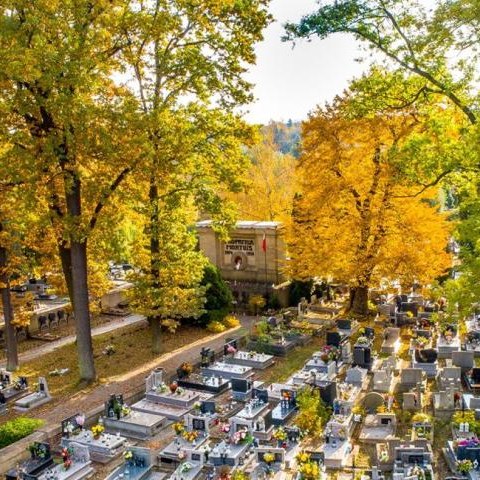 Przed nami 1 listopada Dzień Wszystkich Świętych