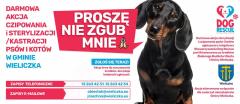 Darmowa akcja czipowania, sterylizacji i kastracji psów i kotów w Wieliczce