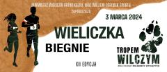 XII edycjA BIEGU TROPEM WILCZYM - WIELICZKA BIEGNIE