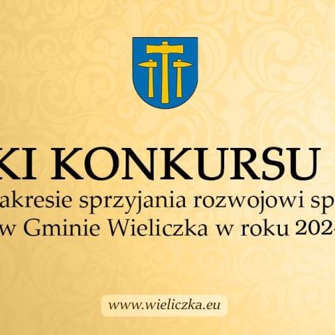 Wyniki konkursu ofert w zakresie sprzyjania rozwojowi sportu w Gminie Wieliczka w roku 2024