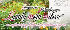 Konkurs fonograficzny 