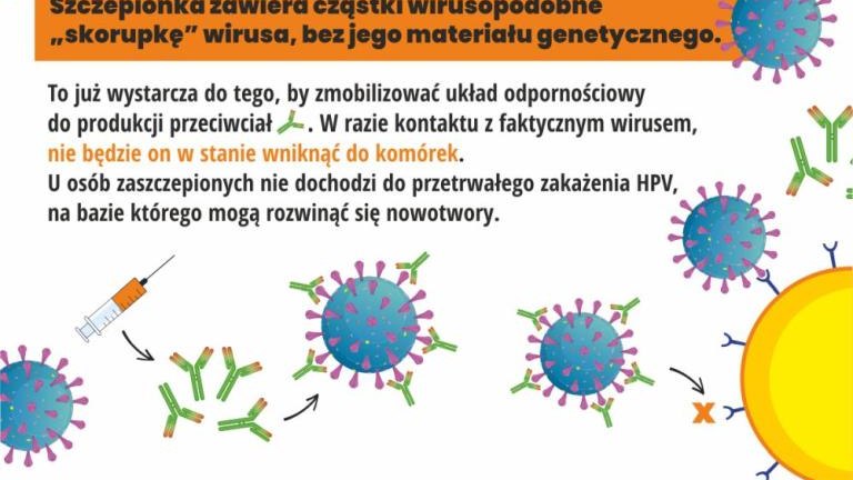 Szczepienia przeciw HPV_infograph_6.jpg