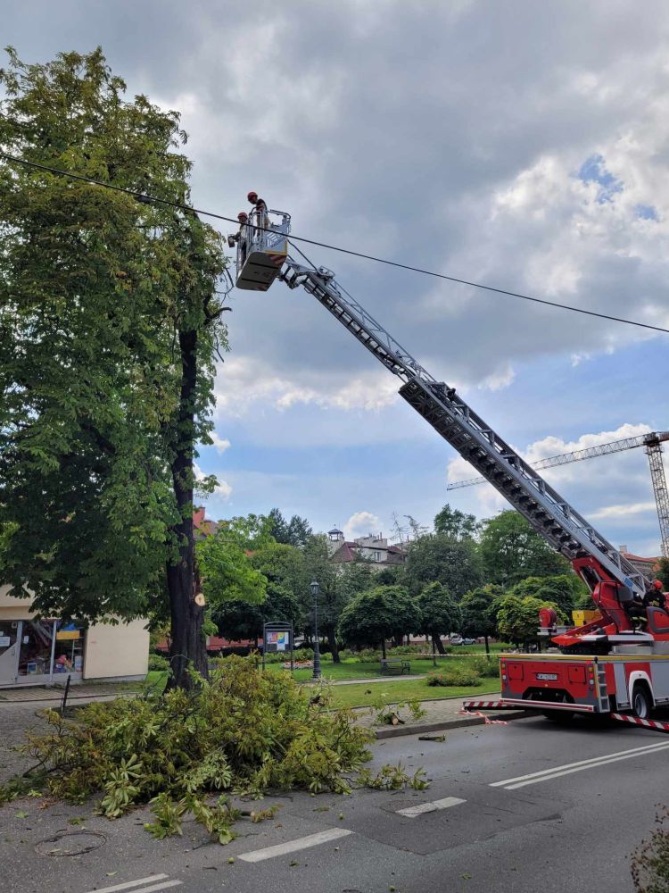 przecinka uszkodzonego drzewa przy Sztygarowce Wieliczka_1.jpg