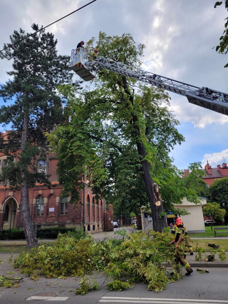 przecinka uszkodzonego drzewa przy Sztygarowce Wieliczka_2.jpg