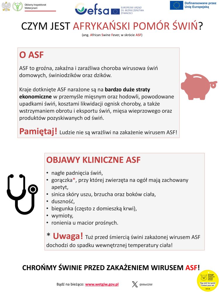 plakat ASF-1.jpg
