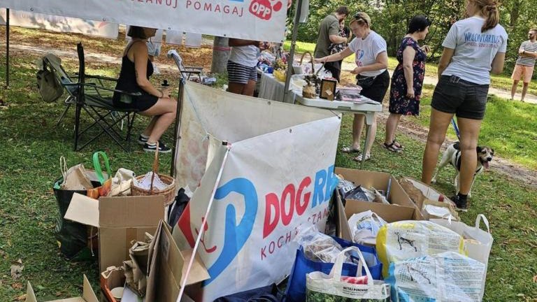 akcja adopcji psow w Parku Adama Mickiewicza w Wieliczce-003.jpg