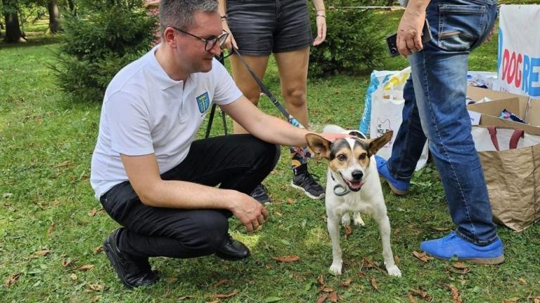 akcja adopcji psow w Parku Adama Mickiewicza w Wieliczce-004.jpg