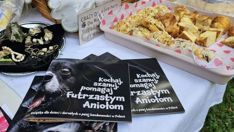 akcja adopcji psow w Parku Adama Mickiewicza w Wieliczce-012.jpg