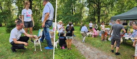 Akcja adopcji psów w Parku im. A. Mickiewicza w Wieliczce