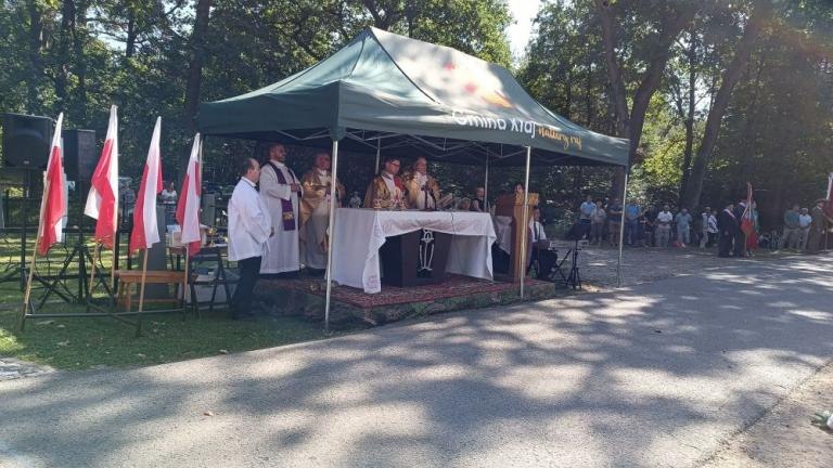 bitwa pod Poszyną-005.jpg