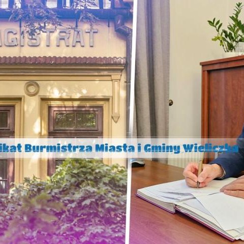 Rozdysponowanie rezerwy burmistrza na 2024 rok
