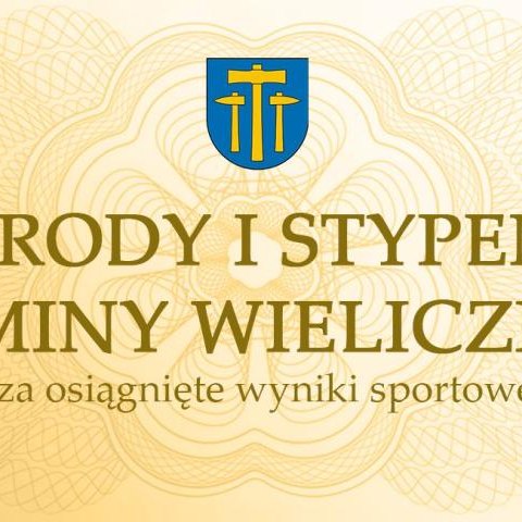 Uhonorowano sportowców i trenerów za osiągnięcia sportowe