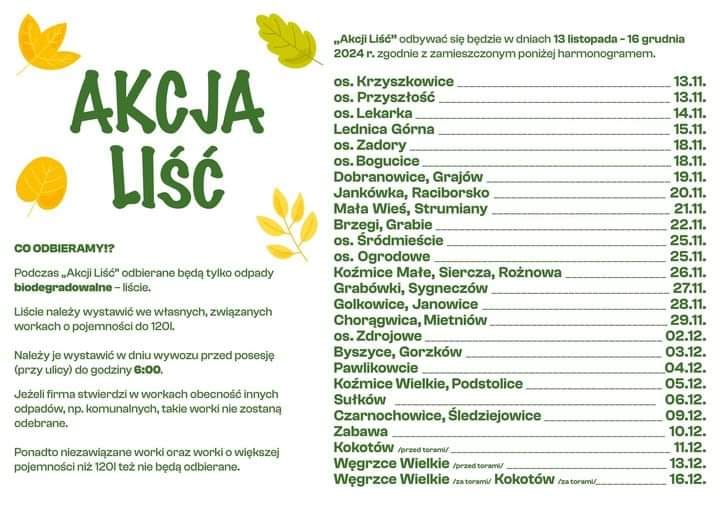 akcja lisc 2024 Wieliczka.jpg