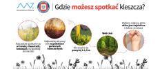 Borelioza (choroba z Lyme) – objawy, profilaktyka i leczenie