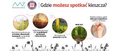 Borelioza (choroba z Lyme) – objawy, profilaktyka i leczenie