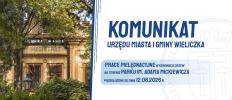 Prace pielęgnacyjne w koronach drzew na terenie Parku im. Adama Mickiewicza