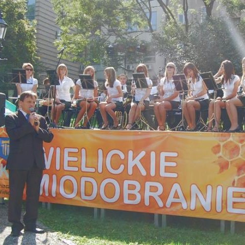 Wielickie Miodobranie