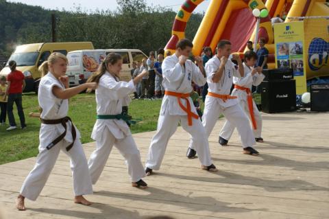 Otwarty konkurs ofert w zakresie kultury fizycznej i sportu