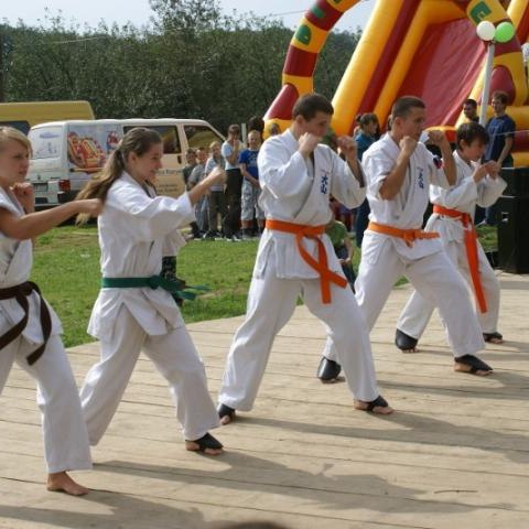 Otwarty konkurs ofert w zakresie kultury fizycznej i sportu