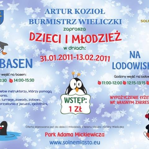 Ferie zimowe na basenie i lodowisku!