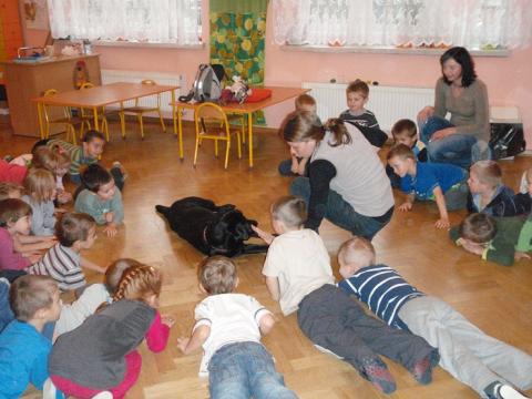 „Gwiazdka dla zwierzaka”