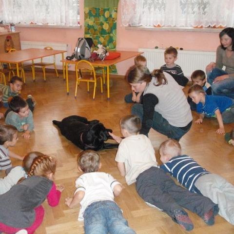 „Gwiazdka dla zwierzaka”