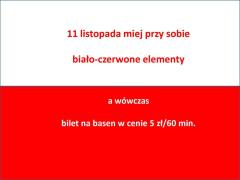 Basenowa promocja